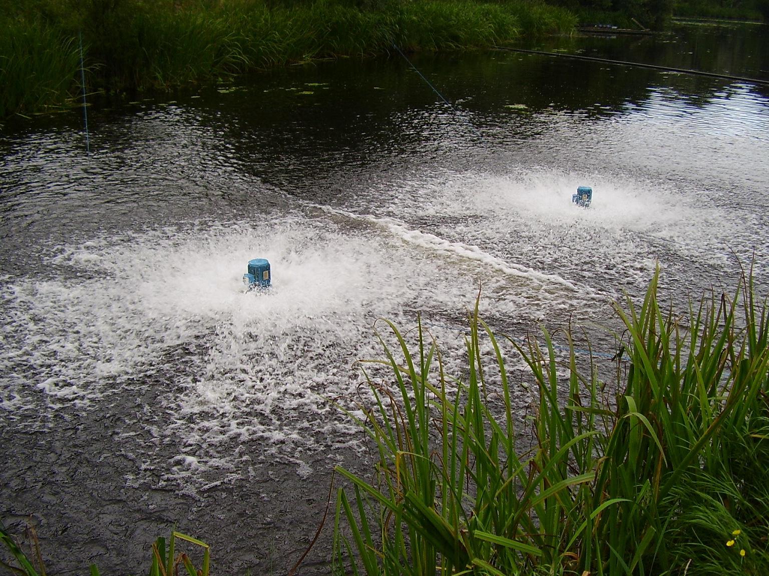 Kontiolahti trout fish farm